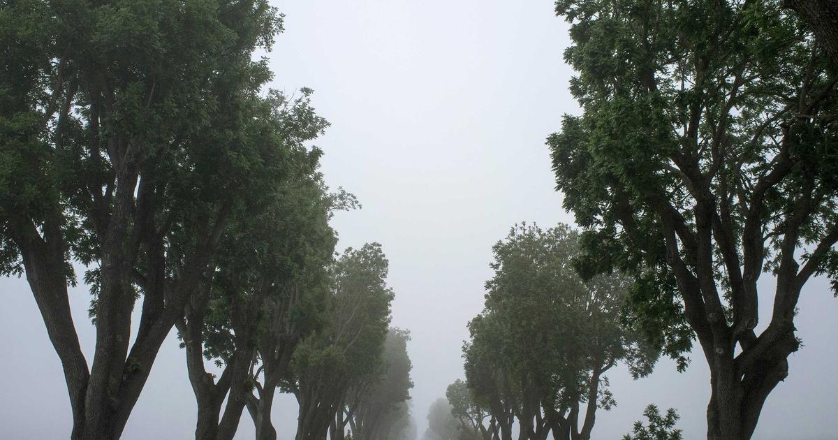 楽天証券の口座開設