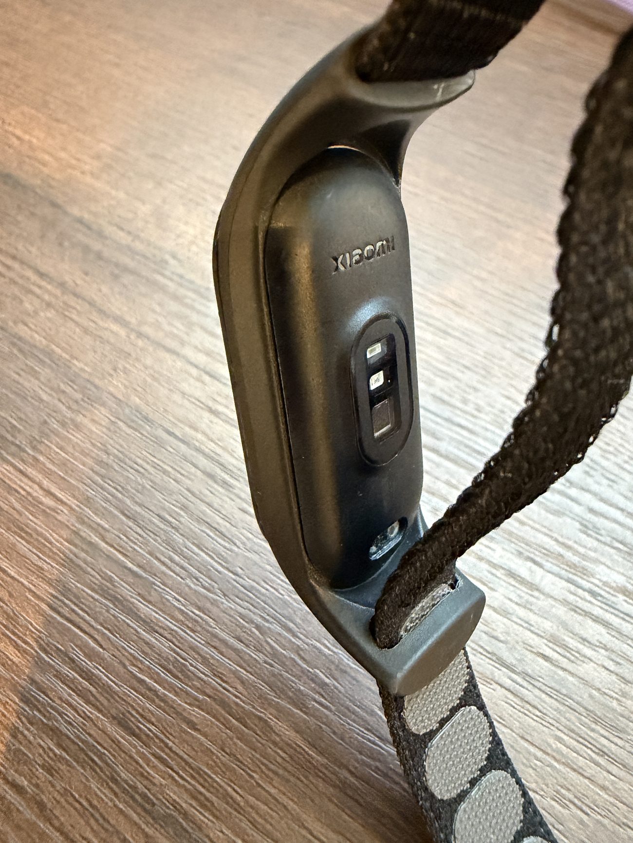Band 7背面のXIAOMIロゴ